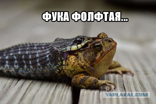 В таких ситуациях лучше и не скажешь!