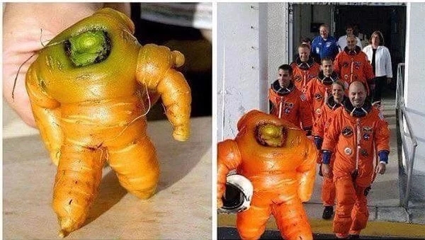 Интересные и веселые картинки