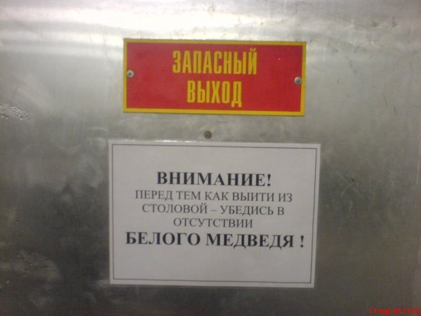 Порция картинок из сети
