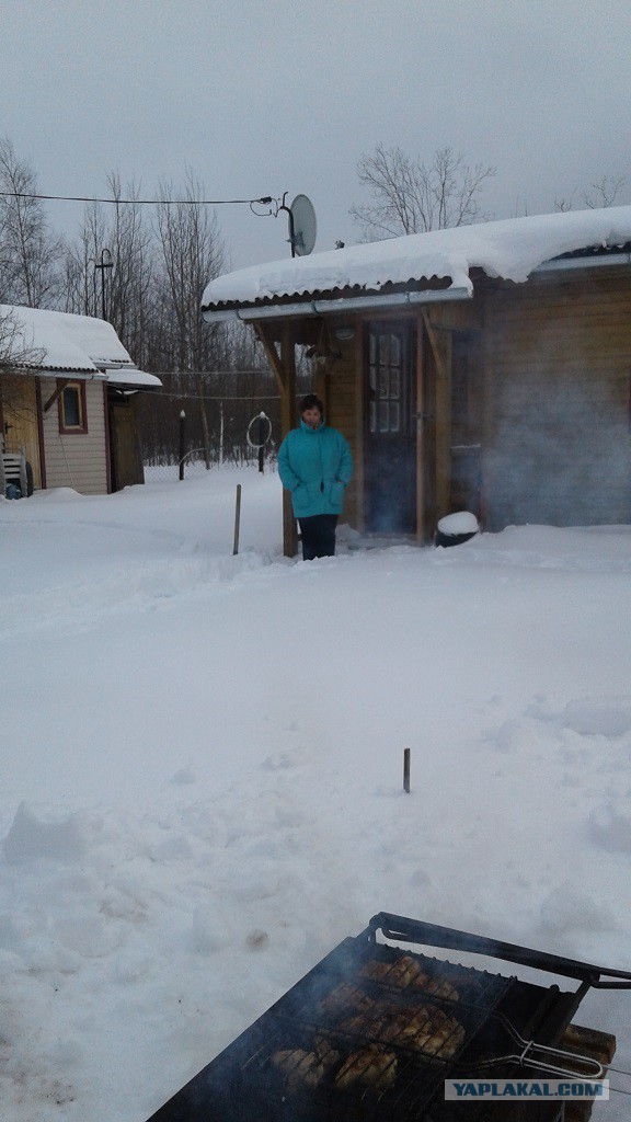 Ждем шашлычный период!