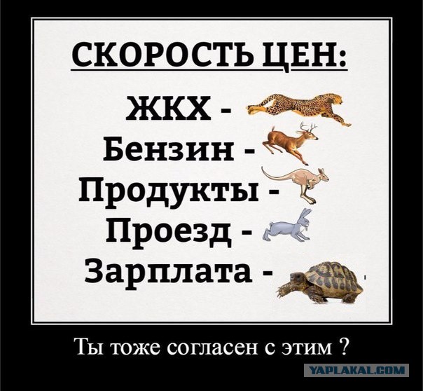 Прикольные картинки 21.06.2017