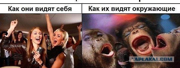 Занимательные факты обо всём