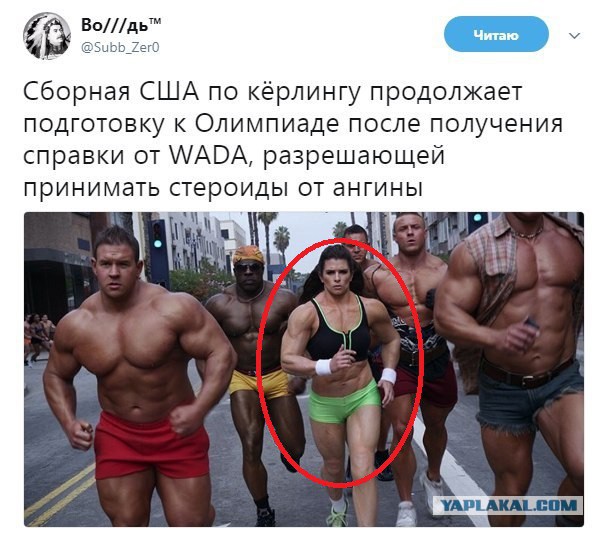 Смешные комментарии из социальных сетей 24.11.2017