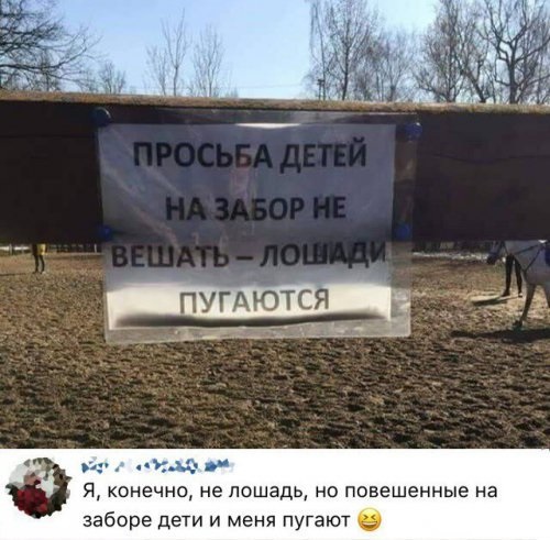 Смешные комментарии из социальных сетей