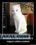 Что можно увидеть на балконе