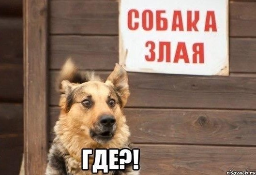 Немного картинок с надписями и без - 27