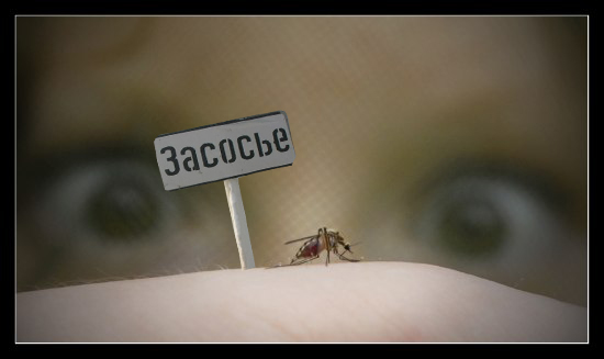 Фотожаба: Вот это, да !