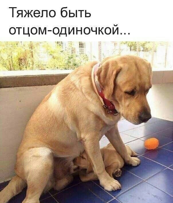 Всяческие картинки 09.07.2021