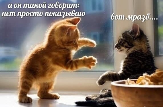 Картинки и мемы для настроения 18.08.2021