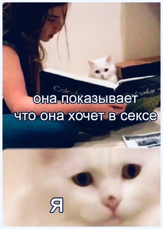 Всяко разные картинки 19.11.2021