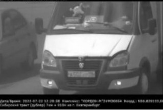 В Екатеринбурге оштрафовали водителя, который не пристегнул кота