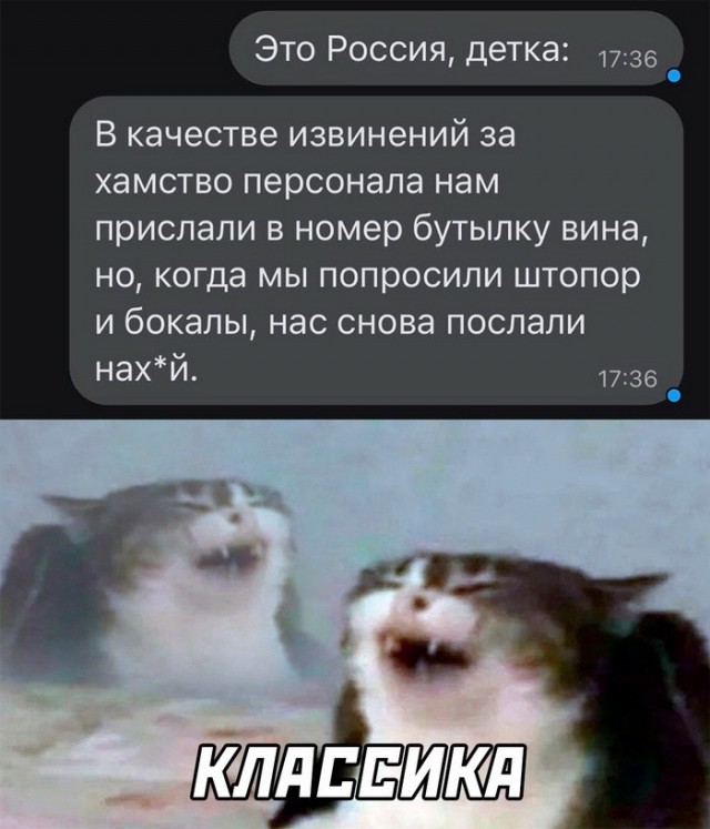 Картинки и мемы для настроения - 119