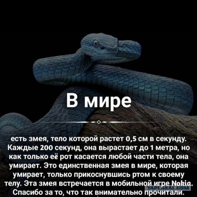 Так себе картинки 27.02.23