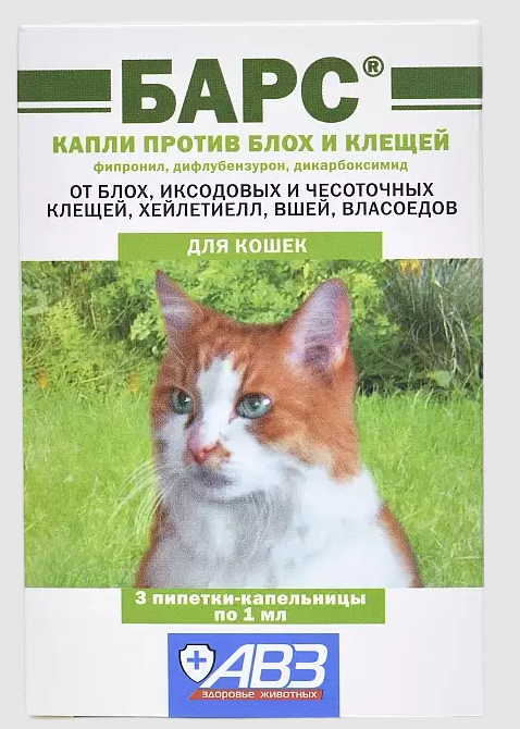 Ищу хозяина кота