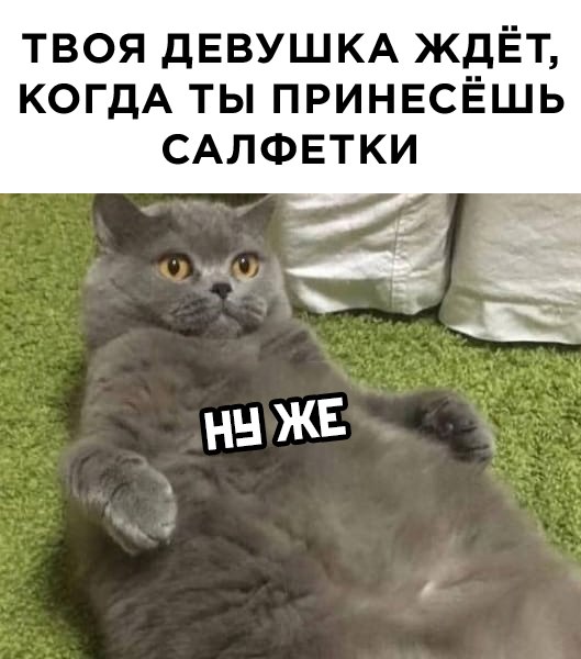 Юмор в картинках и без