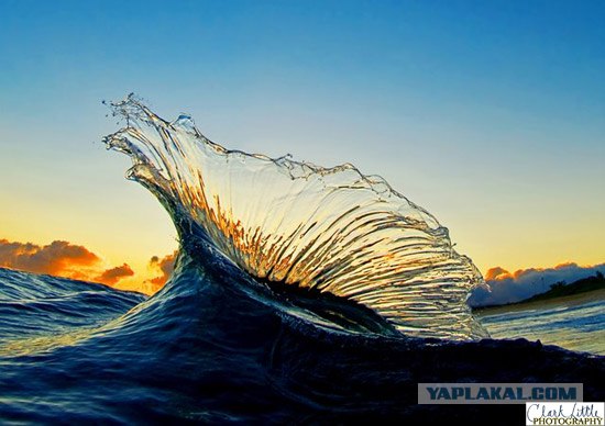 Волны бывают разные (21 фото)