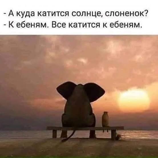 Бензин в 2025 году взлетит на 20% и станет ещё одним драйвером для ускорения инфляции, — экономист Александр Разуваев