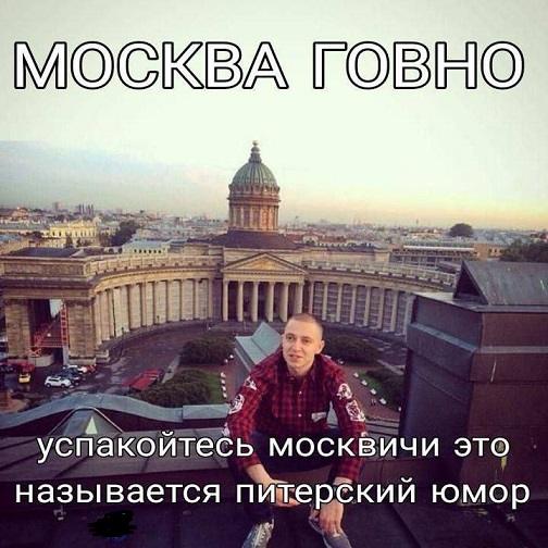 Мой кот