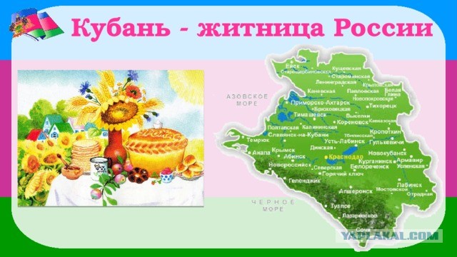 Белоруссия стала лидером по закупке российской свинины и «молочки»