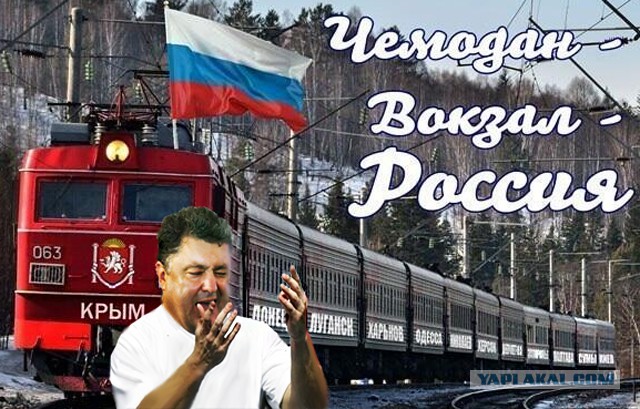 Пожабим порошка?
