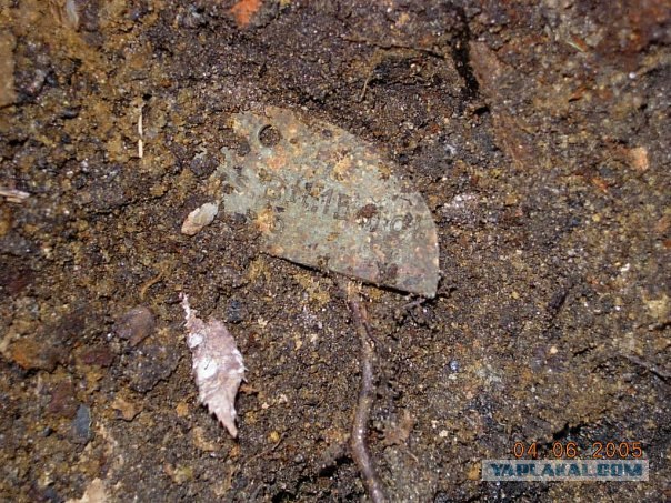 Поисковики