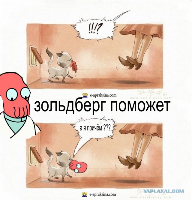 Процесс ухаживания