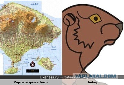 Забавные сходства