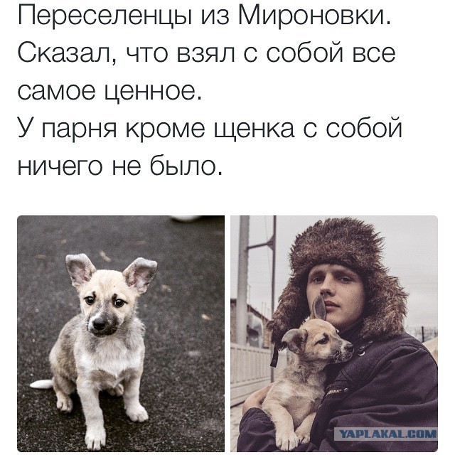 Эхо войны....