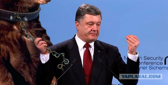 Что еще предложит Петя?