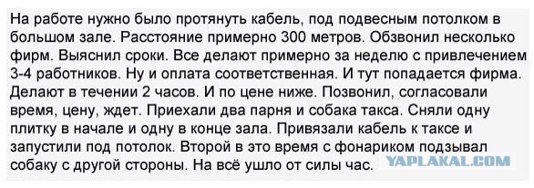 Просто картинки