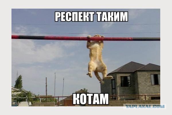 Турник Турник Турник.....