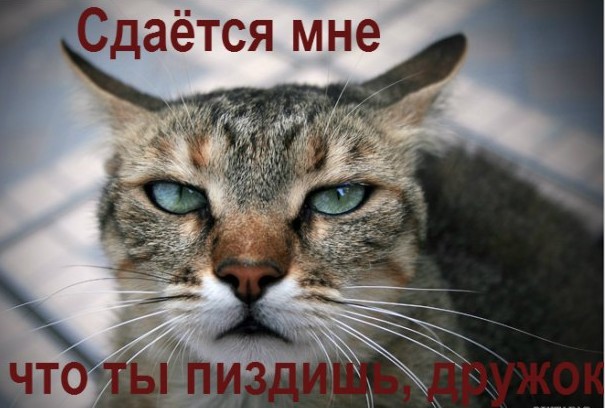 Маскировка