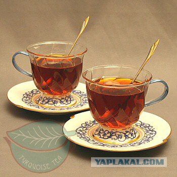 На каком языке говорим?
