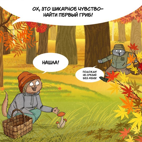 Люблю осень