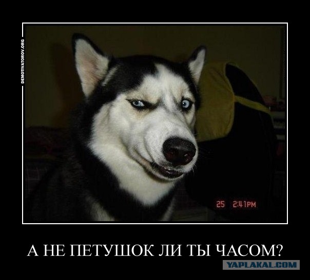 Массовая драка в мурманском баре