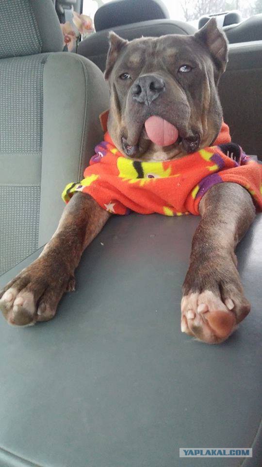 Разные картинки