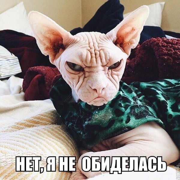 Картинки на утро вторника