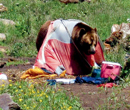 Неприятности случаются