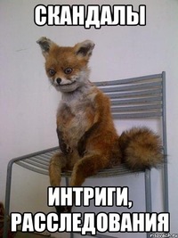 Наглые родственники. Продолжение