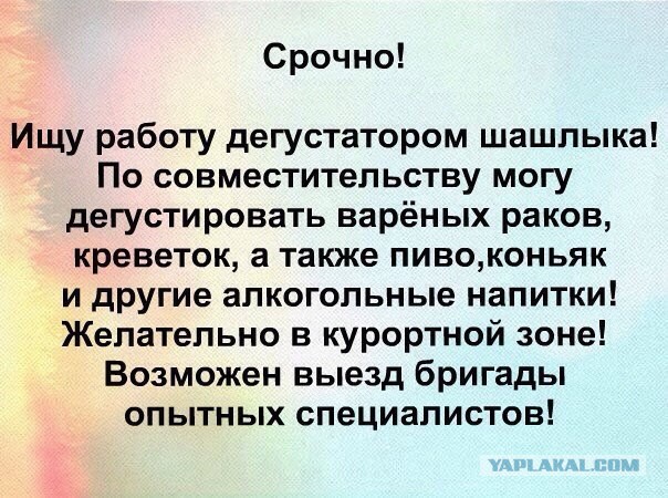 Шашлык по-домашнему