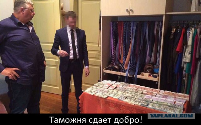 Как живет Таможня