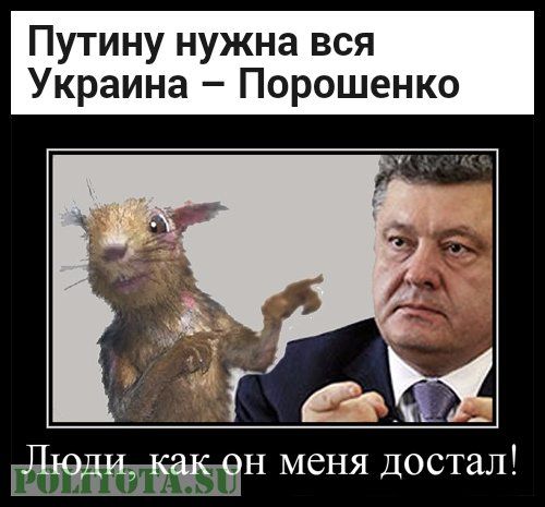 Политота И Не Только Ютуб