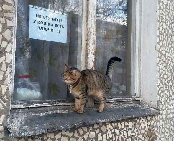 Прикольные надписи и объявления