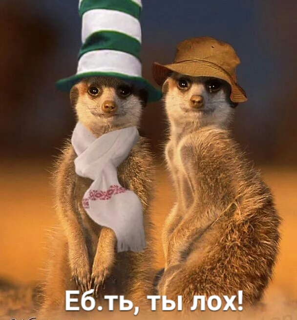 Старое по-новому