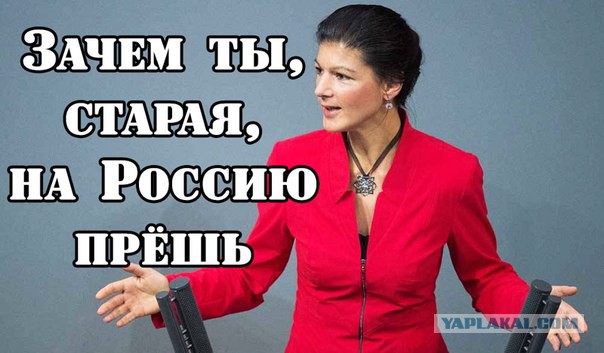 Лидер немецких левых: только сумасшедший развяжет войну с Россией из-за Крыма