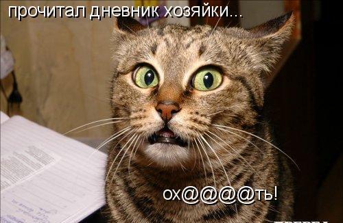 Устами котов