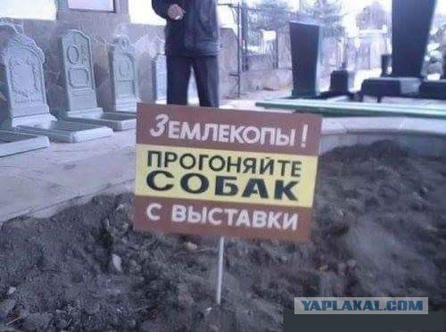 Подборка прикольных фоток