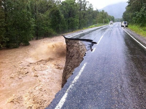 Лента прикольных картинок