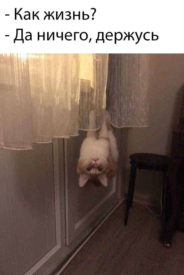 Немного милоты