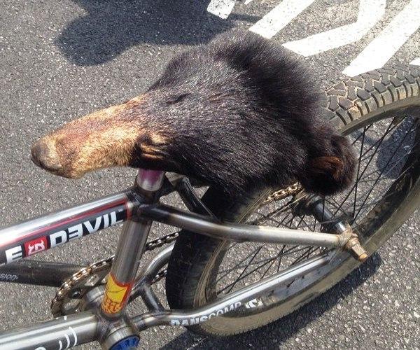 Выловлено в наших сетях